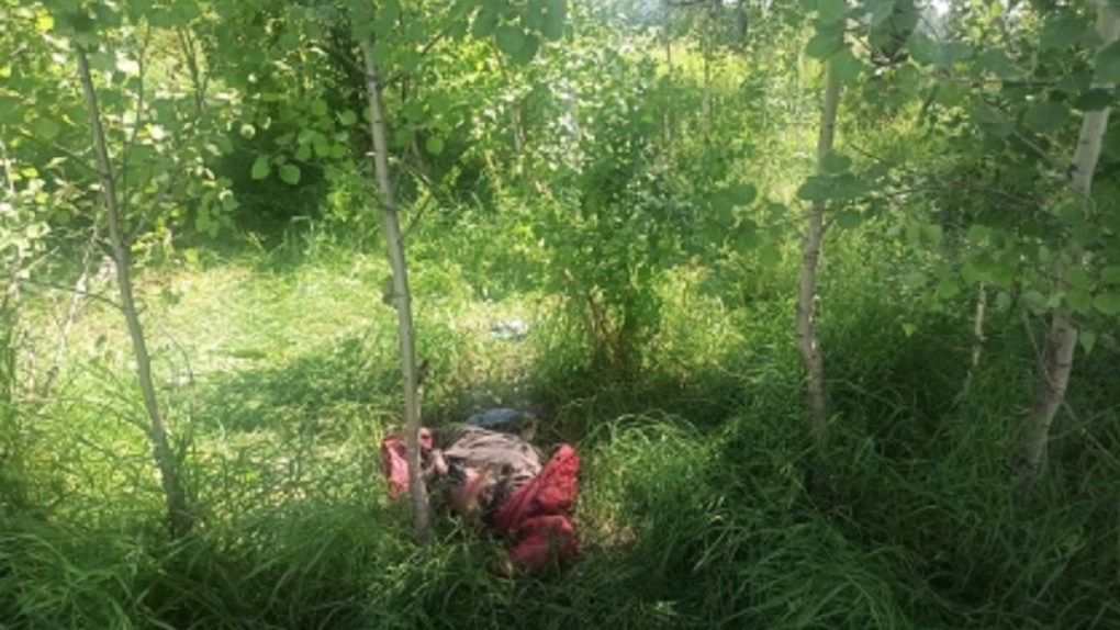 Труп почти превратился в скелет: останки женщины обнаружили в лесу Новосибирской области