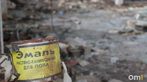 В Омске компанию «Полигон» обязали устранить нарушения на свалках в Надеждино