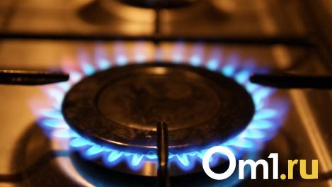 В Омской области на следующей неделе повысятся тарифы на газ