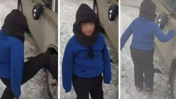 9-летний хулиган разгромил машину и угрожал прохожему в Новосибирске