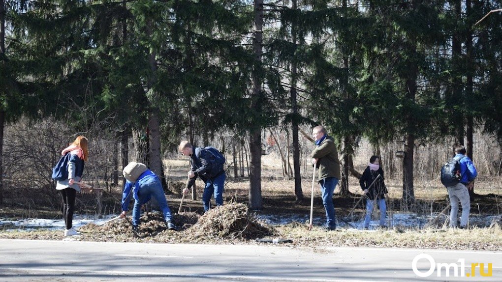 Мешки с мусором после субботника в Омске пообещали убрать за 3 дня