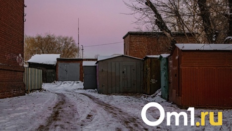 Омская мэрия выставила на торги четыре земельных участка под строительство