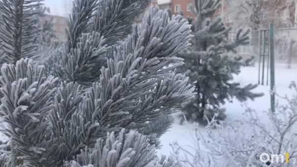 Крещенские морозы в Омск придут досрочно