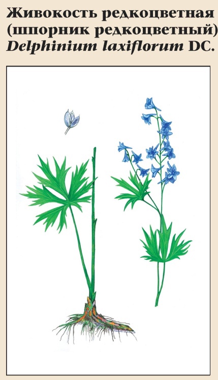 Изображение фоторепортажа