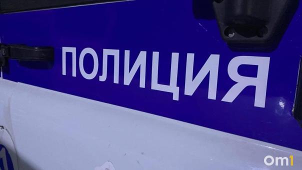 Силовики задержали новосибирца, домогавшегося до 12-летней девочки