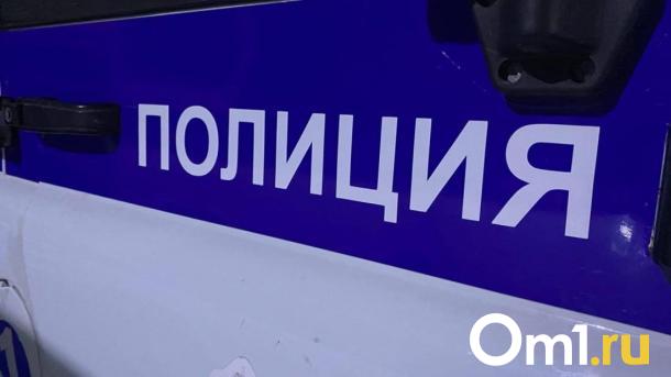 Силовики задержали новосибирца, домогавшегося до 12-летней девочки