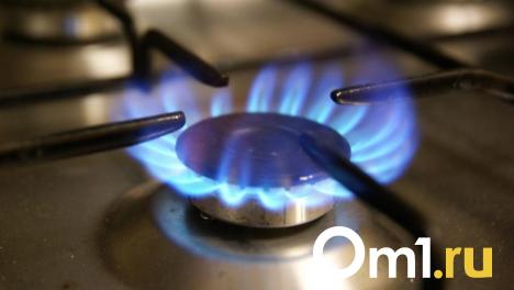 Несколько омских сёл останутся без газа из-за ремонтных работ
