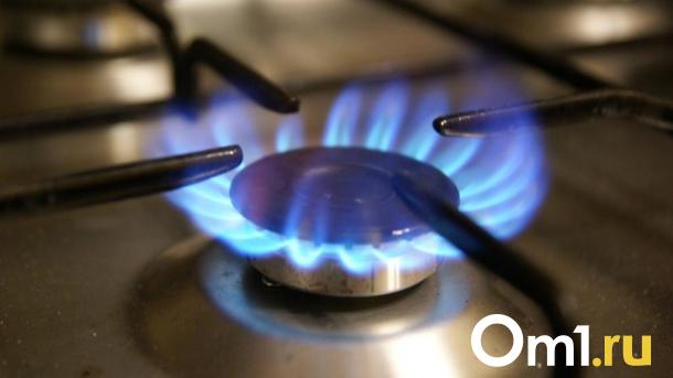 Несколько омских сёл останутся без газа из-за ремонтных работ