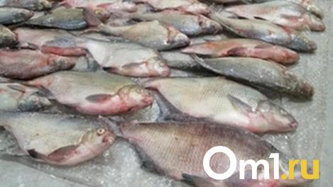 Омичам рассказали, где мешками ловится рыба зимой