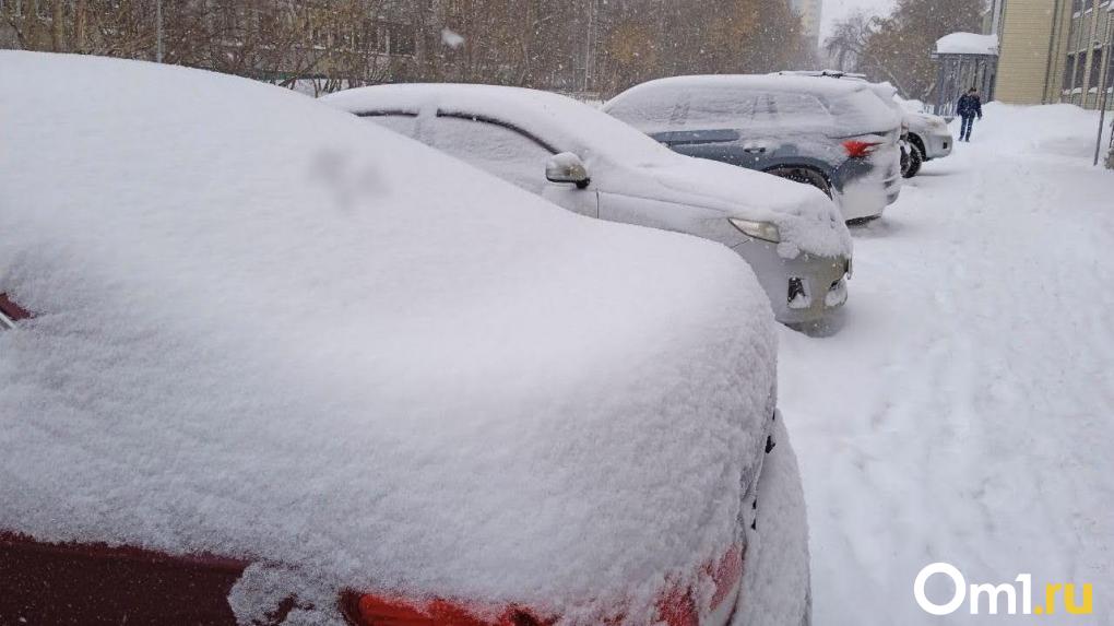 Омскую область накроет самый мощный снегопад в России