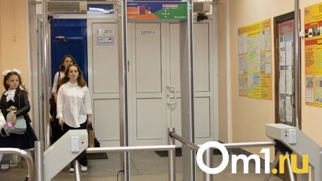Психологов новосибирских школ проверят на профпригодность после гибели детей в Ульяновске