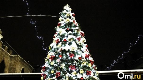 Опубликована программа мероприятий в Новосибирске на новогодние праздники