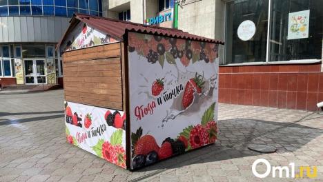 В Омске предложили увеличить штрафы за незаконную установку киосков