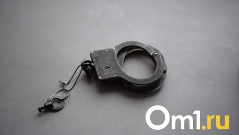 Сбежавшего за границу омича подозревают в экстремизме