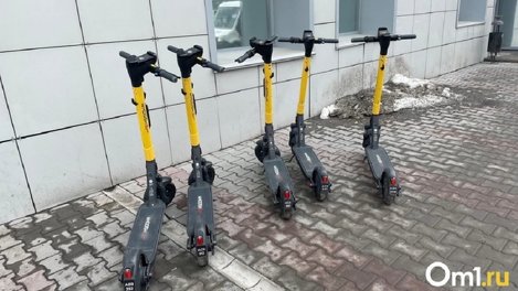 Количество электросамокатов на улицах Омска в этом году вырастет в полтора раза