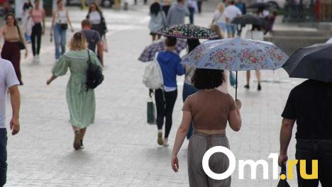 Новосибирцев ждут потепление и дожди в начале недели