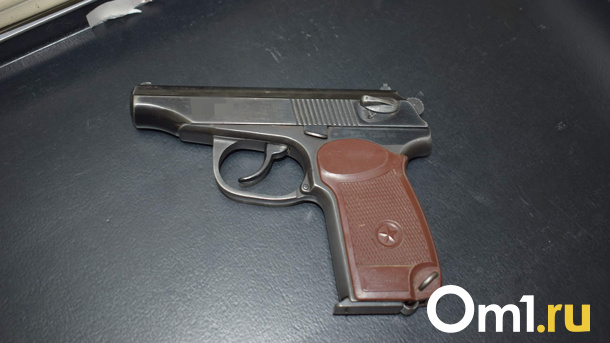 Стоял с пневматом на встречке: новосибирский водитель устроил перестрелку на дороге