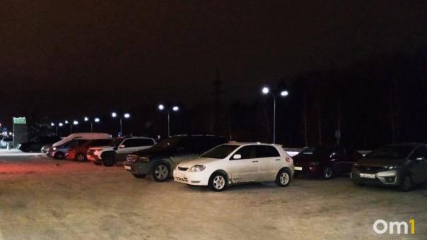 Платная парковка на центральных улицах Омска может появиться уже в этом году