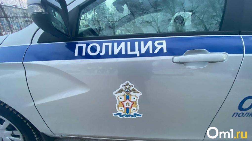 В Омской области водитель сбил женщину и ребёнка на пешеходном переходе