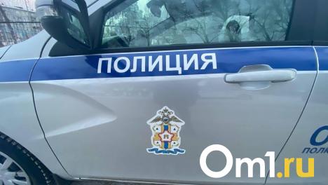 В Омской области водитель сбил женщину и ребёнка на пешеходном переходе