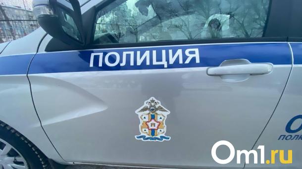 В Омской области водитель сбил женщину и ребёнка на пешеходном переходе