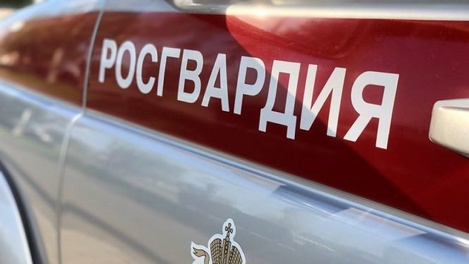 Хотел взять в долг, но украл: омские росгвардейцы задержали воришку алкоголя