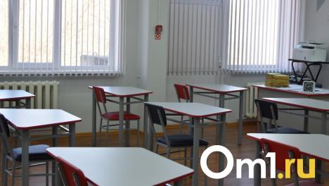 Новосибирские школьники останутся без обществознания: важный предмет уберут в 2025 году