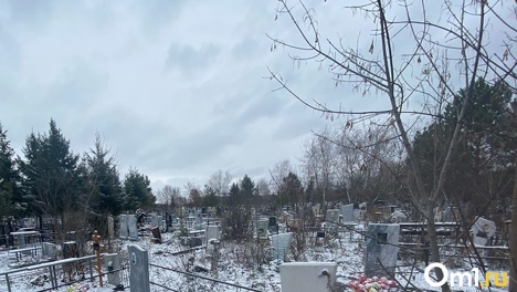 Всё же будет: московская компания ждёт разрешения на строительство крематория под Омском