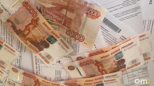 Охотники и фермеры принесли в бюджет Омской области больше двух миллиардов рублей