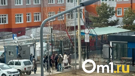 Омичи за сутки встали в очередь на подачу заявлений в новый лицей в Кузьминках