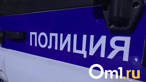 В Омске на Ленина произошла драка, в ходе которой прохожий потерял сознание