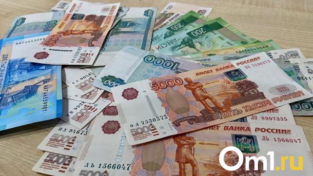 В Омске директор нового управления мэрии получает 54 тысячи в месяц