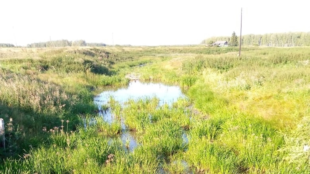 В Минприроды Омской области сообщили, когда появится вода в обмелевшей реке Оша