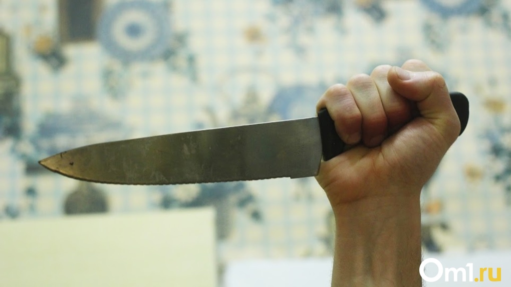 Вонзил нож в грудь: пенсионер жестоко зарезал знакомого в Новосибирской области. ФОТО