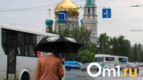 Синоптики предупреждают: Омск снова накроют грозы и жара