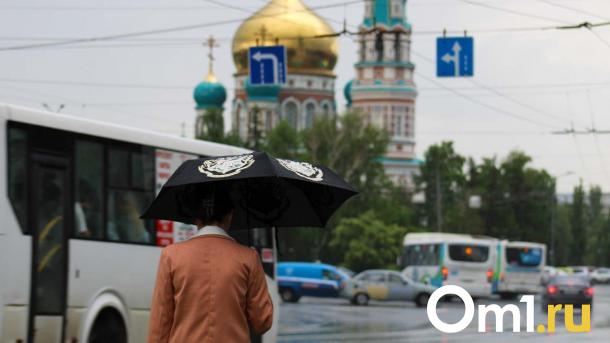 Синоптики предупреждают: Омск снова накроют грозы и жара