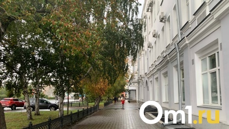 Аллею деревьев вырубят в центре Омска ради парковки