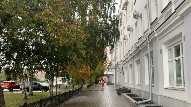 Аллею деревьев вырубят в центре Омска ради парковки