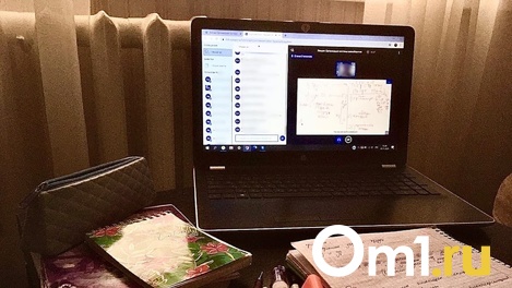 Для омских школ закупят 1819 ноутбуков и 107 серверов