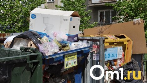 Нарушения при обращении с отходами будут фиксировать фото- и видеокамеры в Новосибирске