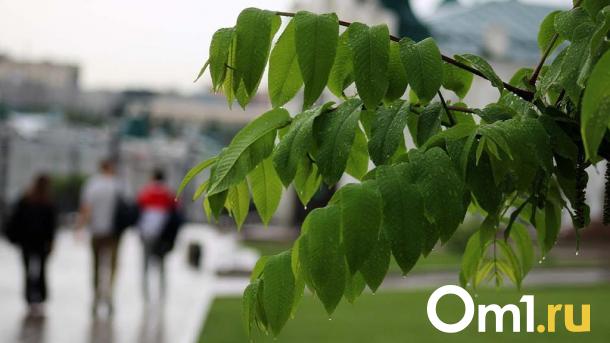 Грозы и град: погода на этой неделе готовит омичам неприятный сюрприз