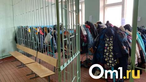В Минобре рассказали, как омские школьники будут учиться во время морозов