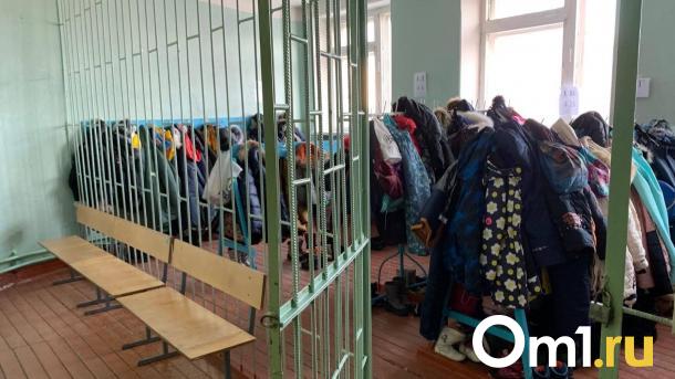 В Минобре рассказали, как омские школьники будут учиться во время морозов