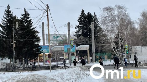 В Омске нашли подрядчиков для благоустройства парков и скверов