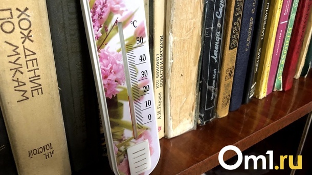 Мэр Омска рассказал о работе МПТК в условиях сильных морозов