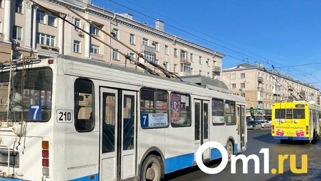 Стало известно, от чего умер омич во время ремонта контактной сети