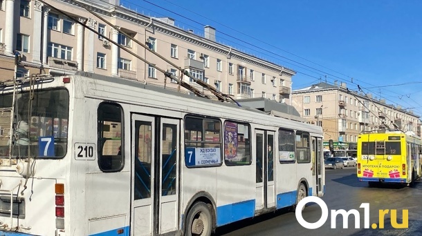 Стало известно, от чего умер омич во время ремонта контактной сети