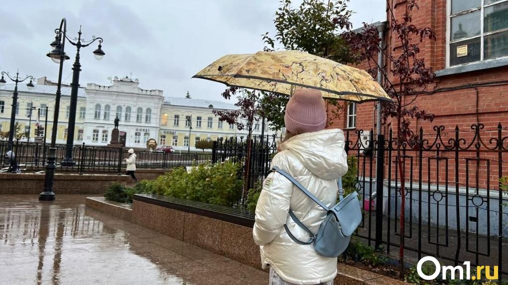 Туманы и +7: на выходных в Омске пройдёт репетиция осенней погоды