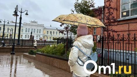 Туманы и +7: на выходных в Омске пройдёт репетиция осенней погоды