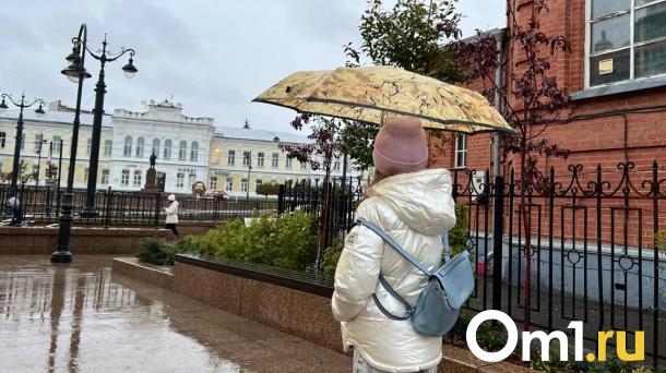 Туманы и +7: на выходных в Омске пройдёт репетиция осенней погоды